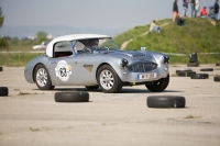 img 4022 - kopie - Kopie